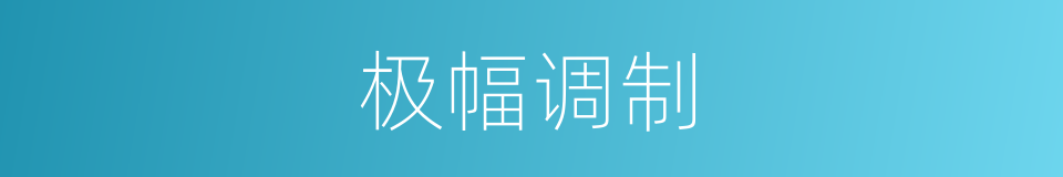 极幅调制的同义词