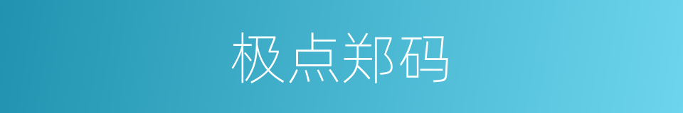 极点郑码的同义词