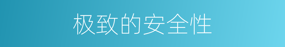 极致的安全性的同义词