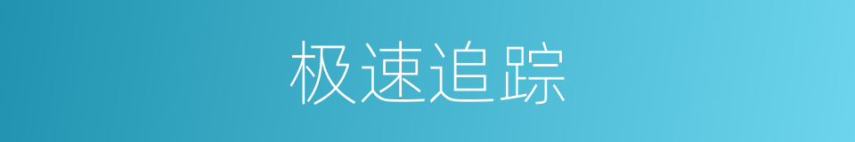 极速追踪的同义词