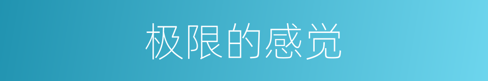 极限的感觉的同义词