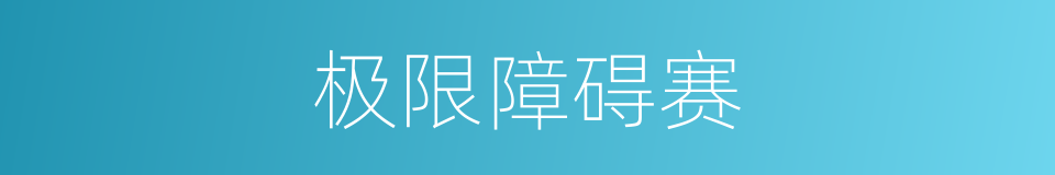 极限障碍赛的同义词