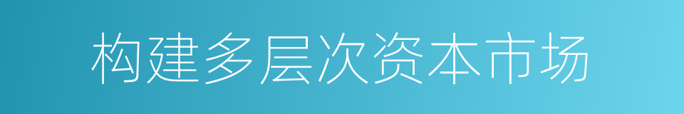 构建多层次资本市场的同义词