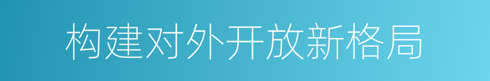 构建对外开放新格局的同义词