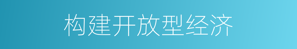 构建开放型经济的同义词