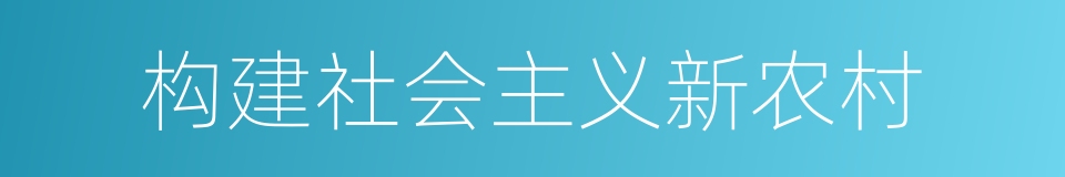 构建社会主义新农村的同义词