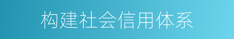构建社会信用体系的同义词