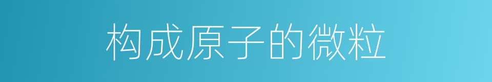构成原子的微粒的同义词