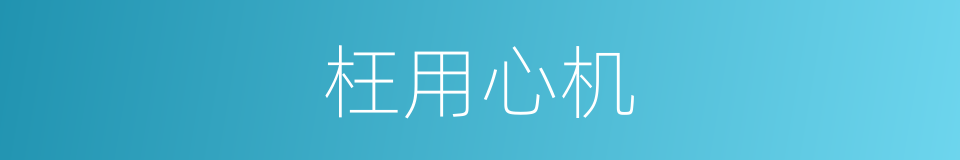 枉用心机的意思