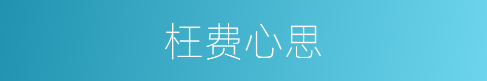 枉费心思的意思