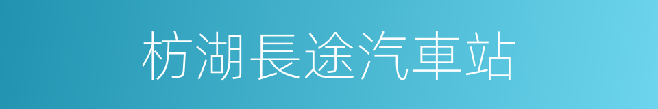 枋湖長途汽車站的同義詞