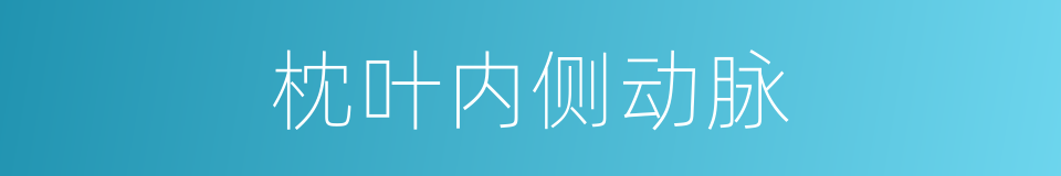 枕叶内侧动脉的同义词