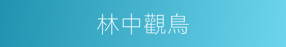 林中觀鳥的同義詞