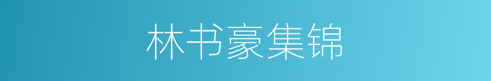 林书豪集锦的同义词