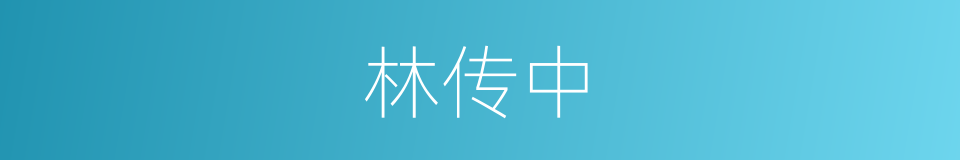 林传中的同义词