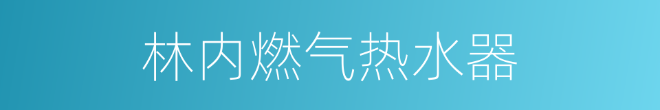 林内燃气热水器的同义词