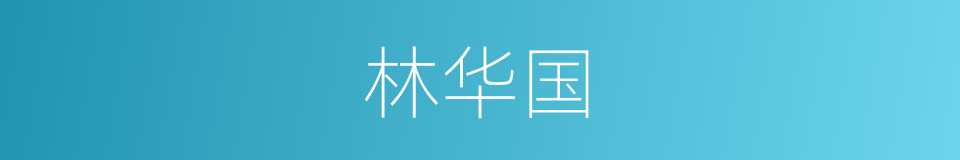 林华国的同义词