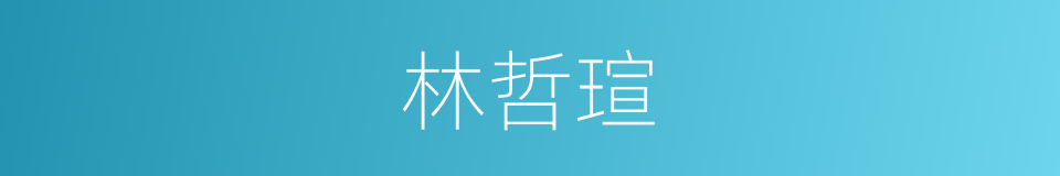 林哲瑄的同义词