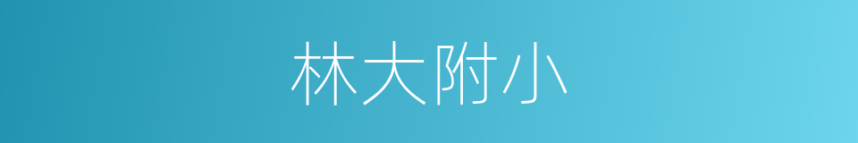 林大附小的同义词