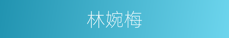 林婉梅的同义词