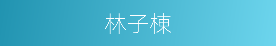 林子棟的同義詞