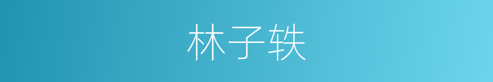 林子轶的同义词