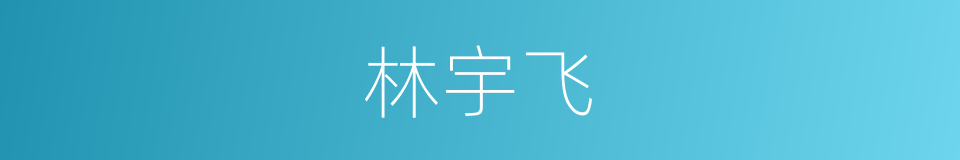 林宇飞的同义词