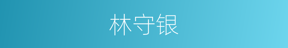 林守银的同义词