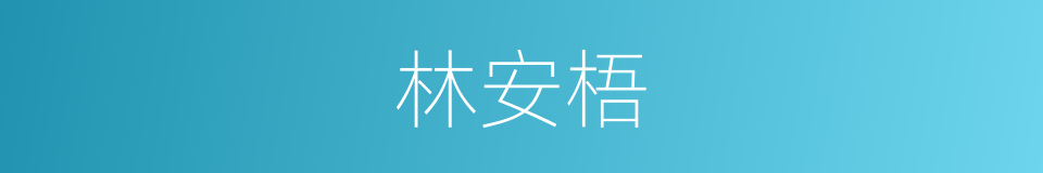 林安梧的同义词