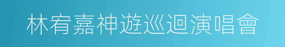 林宥嘉神遊巡迴演唱會的同義詞