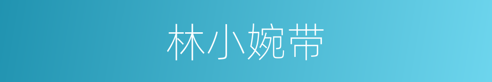 林小婉带的同义词