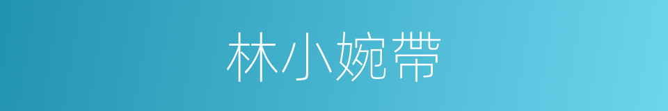 林小婉帶的同義詞