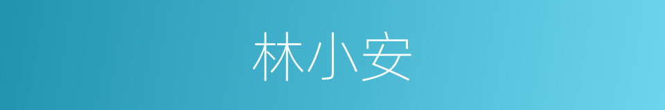 林小安的同义词