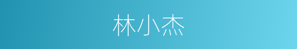 林小杰的同义词