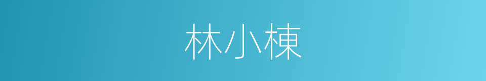 林小棟的同義詞