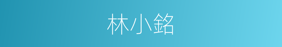 林小銘的同義詞