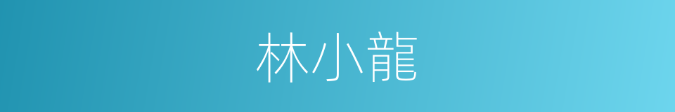 林小龍的同義詞