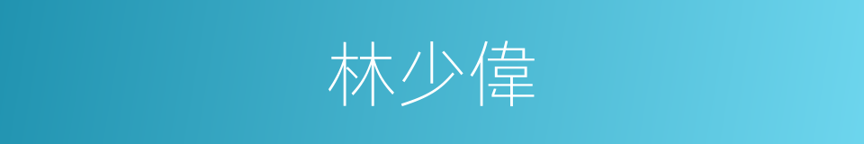 林少偉的同義詞