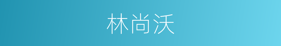 林尚沃的同义词