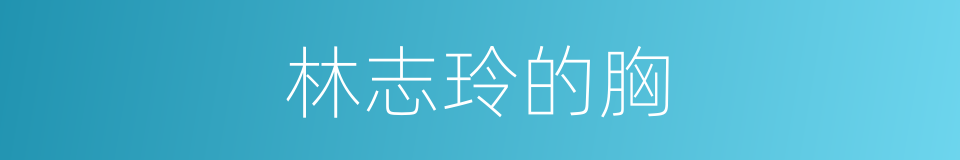 林志玲的胸的同义词