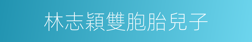 林志穎雙胞胎兒子的同義詞