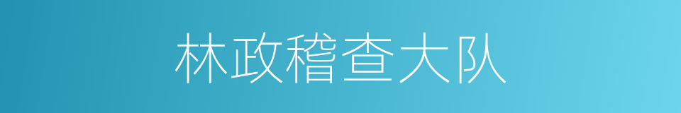 林政稽查大队的同义词