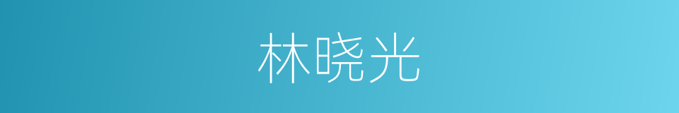 林晓光的同义词