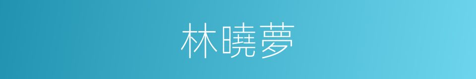 林曉夢的同義詞