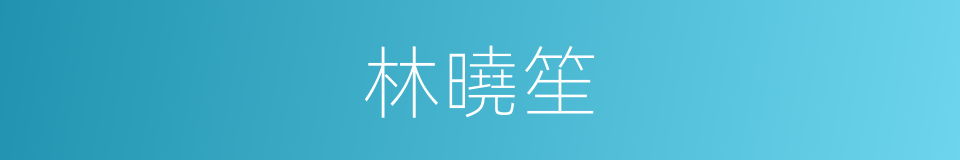 林曉笙的同義詞