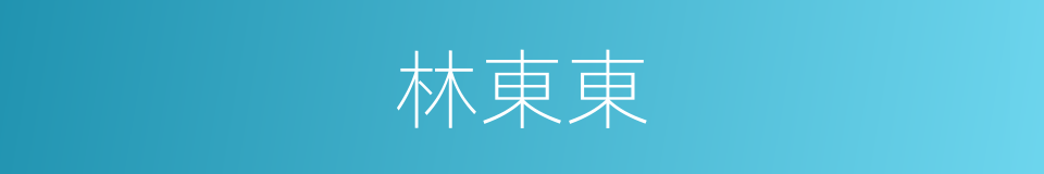 林東東的同義詞