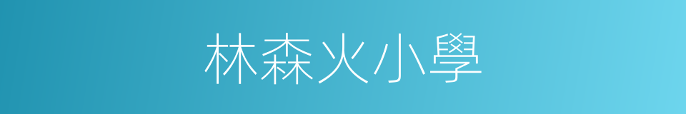 林森火小學的同義詞