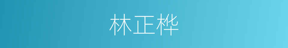 林正桦的同义词