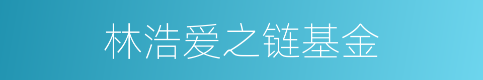 林浩爱之链基金的同义词