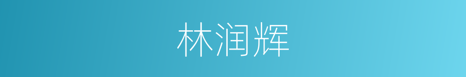林润辉的同义词